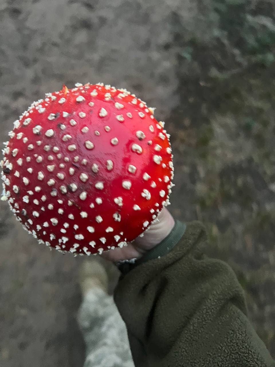 A cap still closed