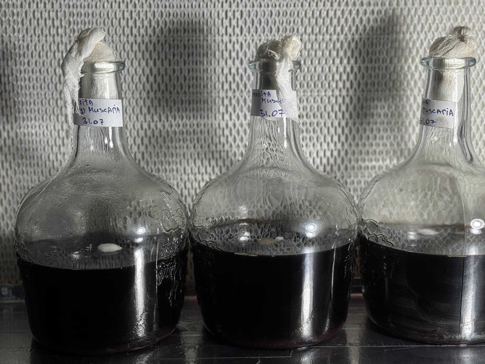 The wine bottles, started 31 July 2025