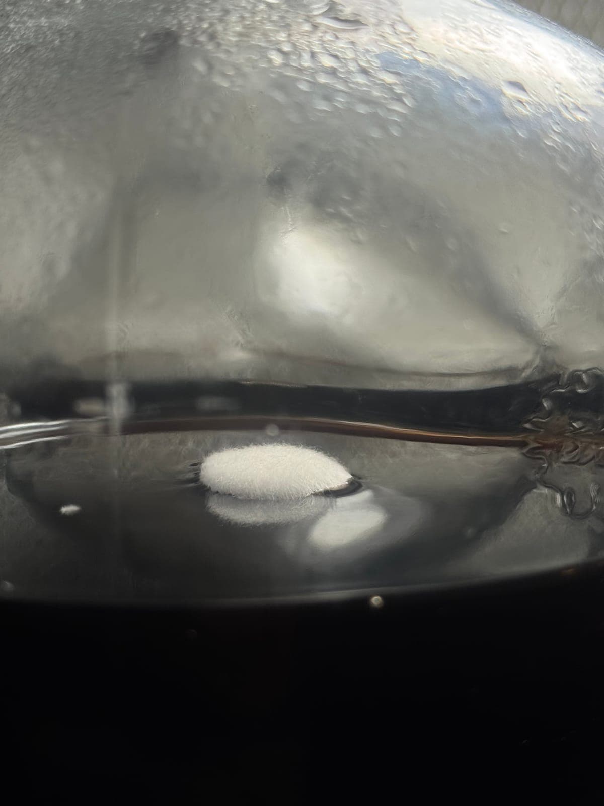 A white mat of culture on the surface of the juice
